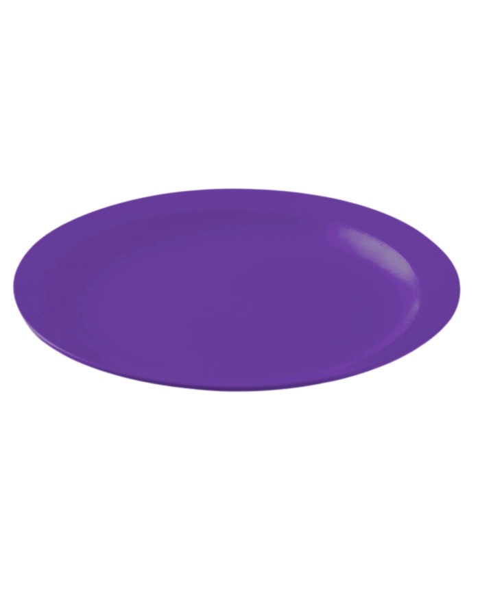 PLATO LLANO POLICARBONATO COLOR  MORADO DE 233 X 24 mm