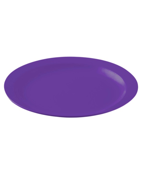 PLATO LLANO POLICARBONATO COLOR  MORADO DE 233 X 24 mm