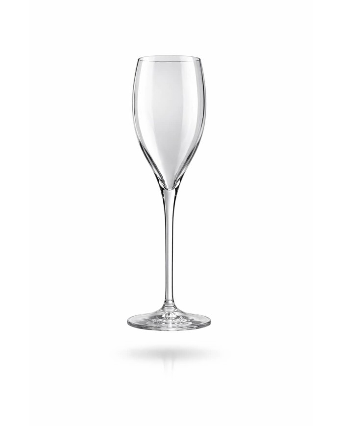Reusable Champagne Glass 160cc Transparent SAN