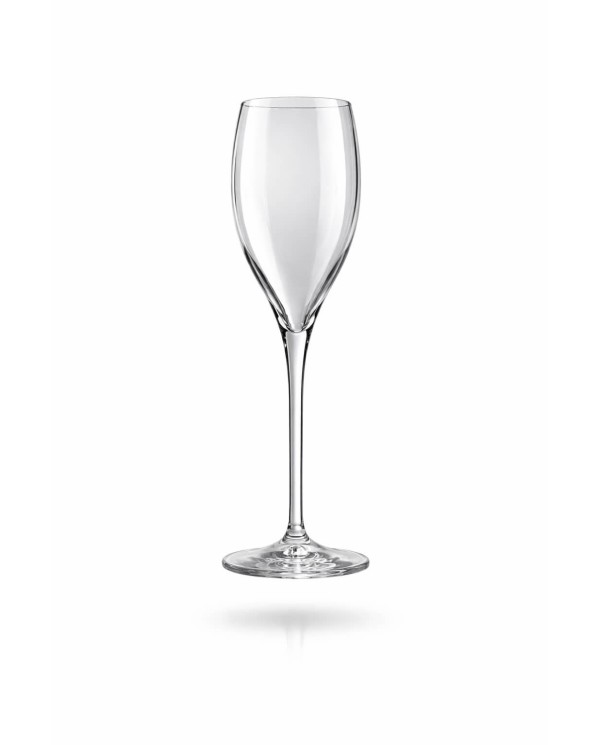 Reusable Champagne Glass 160cc Transparent SAN