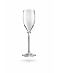 Reusable Champagne Glass 160cc Transparent SAN