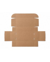 Caixa de Envio Automontável 500x300x150 mm