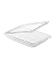 Envase plástico con tapa loncheado 850-H27 PET (400 uds/caja)
