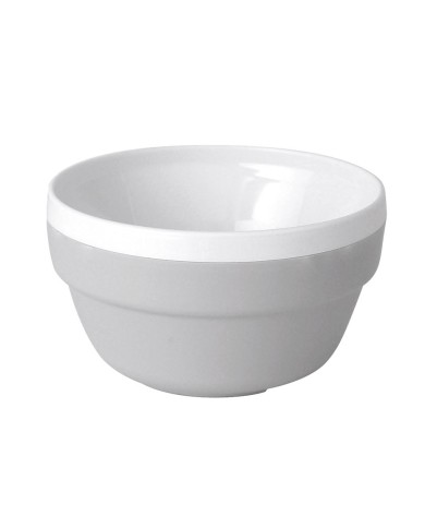 BOL ISOTERMICO POLICARBONATO 450 CC