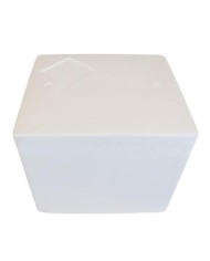 Caja PS ISOTERMICA (Ext 380x335h320) (Int 280x230h22)( Tamaño medio internacional) 12 litros Pared 50 (60 horas) 4 uni paquete