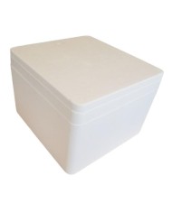 Caja y Tapa