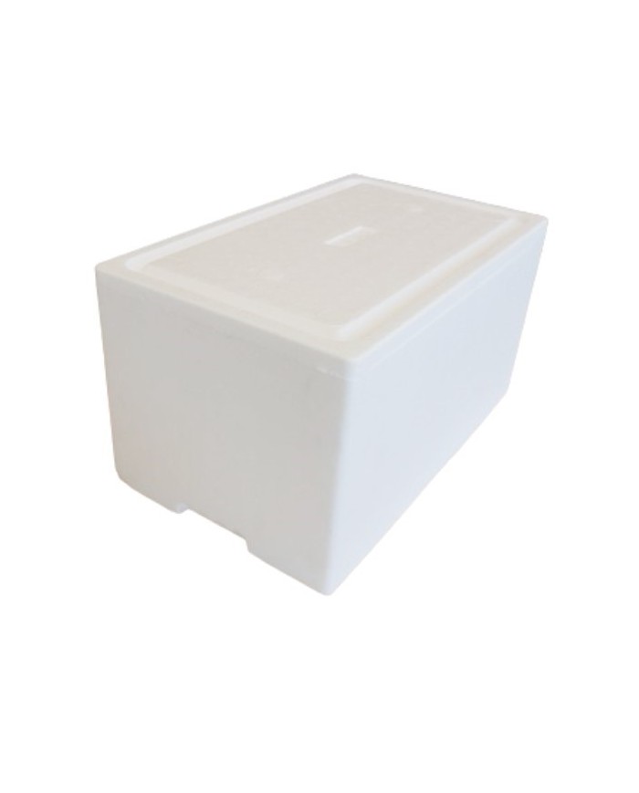 Caja y tapa de poliestireno expandido 27 Litros