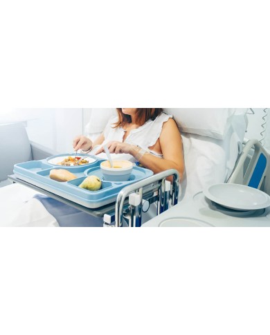 Bandeja Isotérmica Euronorm 1/1 con 5 Compartimentos PP + PUR