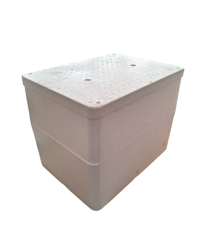 Caja PS ISOTERMICA (Ext 550x400h435) (Int 490x340h360) 60 litros Pared 30 (40 horas) 3 uni paquete***