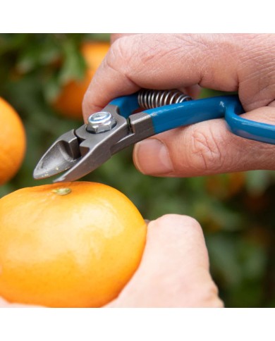 Tijeras Modelo M18 DI de Acero al Carbono