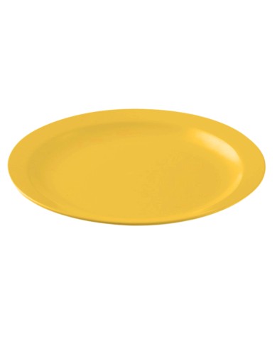 PLATO LLANO POLICARBONATO COLOR  AMARILLO AMBAR DE 233 X 24 mm