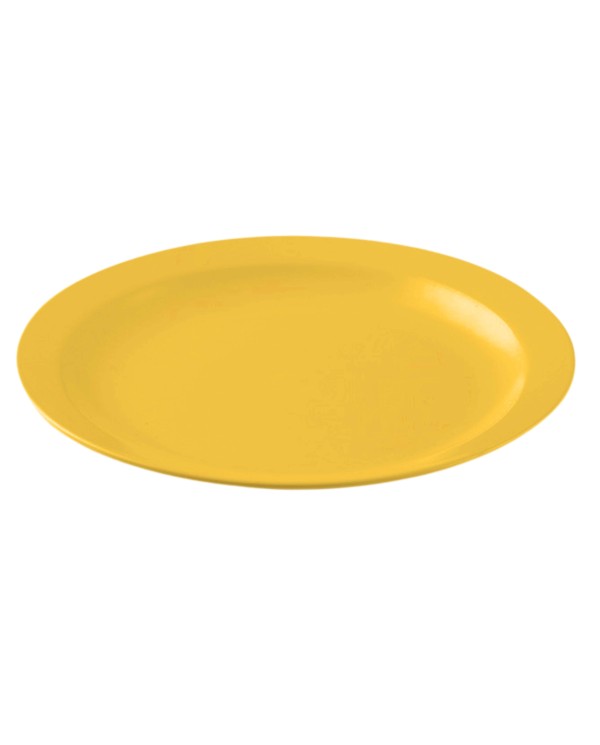 PLATO LLANO POLICARBONATO COLOR  AMARILLO AMBAR DE 233 X 24 mm