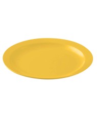 PLATO LLANO POLICARBONATO COLOR  AMARILLO AMBAR DE 233 X 24 mm