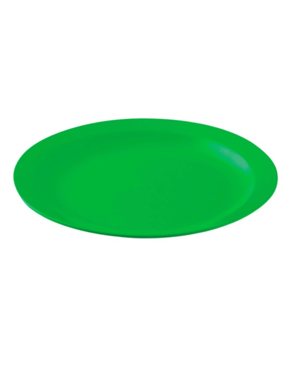 PLATO LLANO POLICARBONATO COLOR  VERDE BOSQUE DE 233 X 24 mm