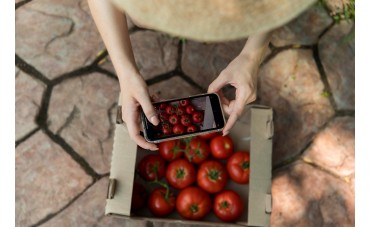 Guía para comprar envases al por mayor sin morir en el intento